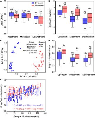 Deterministic processes shape bacterial community assembly in a karst river across dry and wet seasons